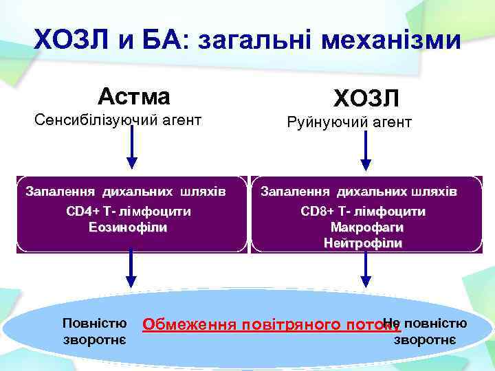 ХОЗЛ и БА: загальні механізми Астма Сенсибілізуючий агент Запалення дихальних шляхів CD 4+ T-