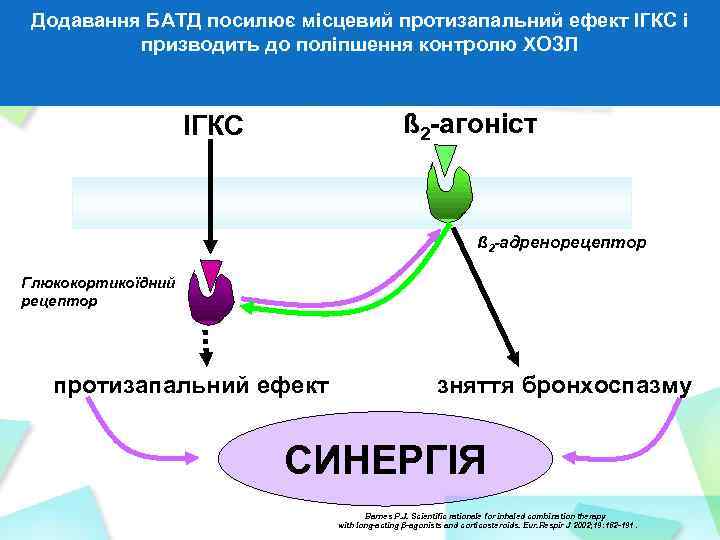 Додавання БАТД посилює місцевий протизапальний ефект ІГКС і призводить до поліпшення контролю ХОЗЛ ß