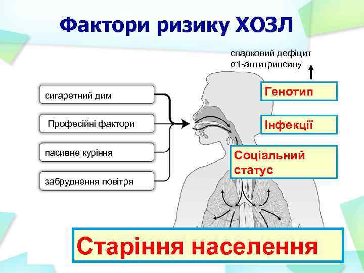 Фактори ризику ХОЗЛ спадковий дефіцит α 1 -антитрипсину сигаретний дим Професійні фактори пасивне куріння