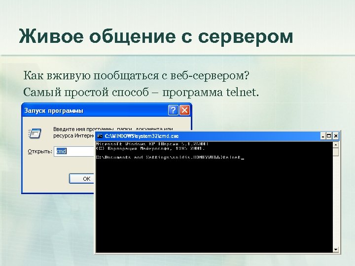 Живое общение с сервером Как вживую пообщаться с веб-сервером? Самый простой способ – программа