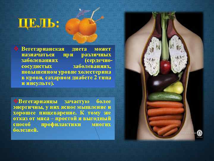 v Вегетарианская диета может назначаться при различных заболеваниях (сердечнососудистых заболеваниях, повышенном уровне холестерина в