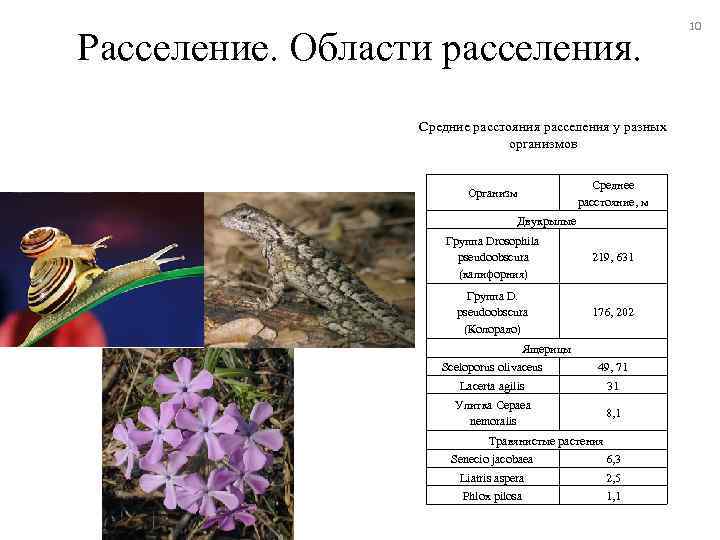 Расселение. Области расселения. Средние расстояния расселения у разных организмов Среднее расстояние, м Организм Двукрылые