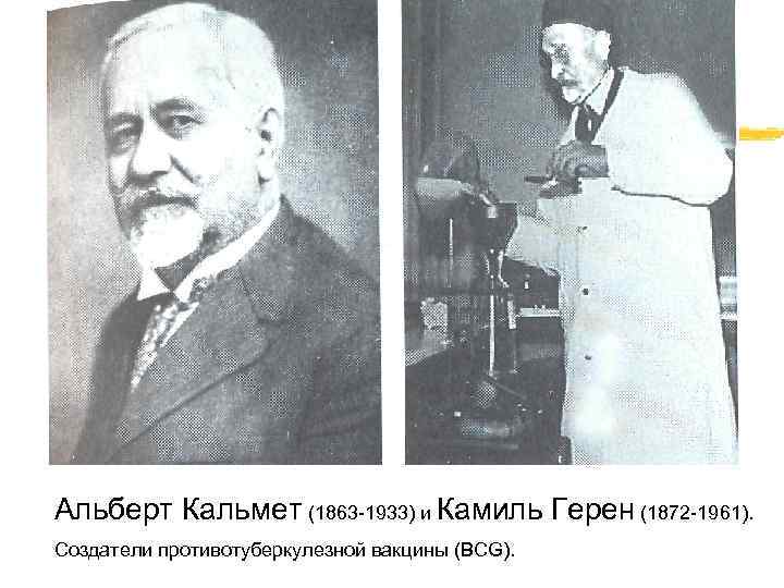 Альберт Кальмет (1863 -1933) и Камиль Герен (1872 -1961). Создатели противотуберкулезной вакцины (BCG). 