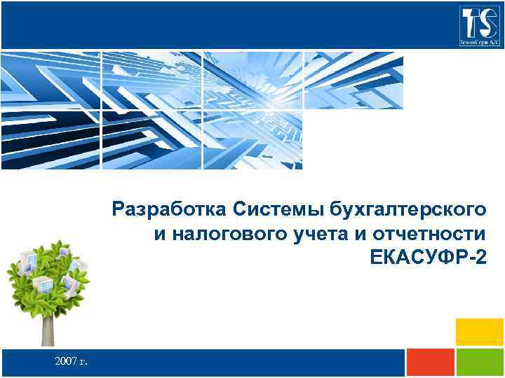 Разработка Системы бухгалтерского и налогового учета и отчетности ЕКАСУФР-2 2007 г. 