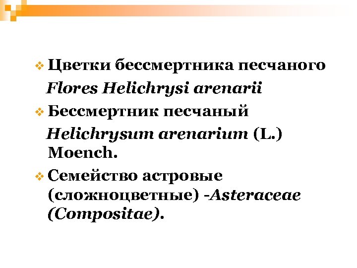 v Цветки бессмертника песчаного Flores Helichrysi arenarii v Бессмертник песчаный Helichrysum arenarium (L. )