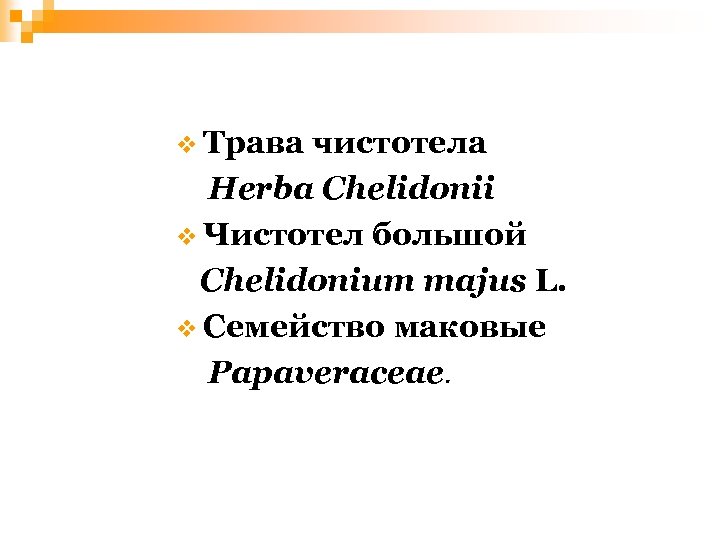 v Трава чистотела Herba Chelidonii v Чистотел большой Chelidonium majus L. v Семейство маковые