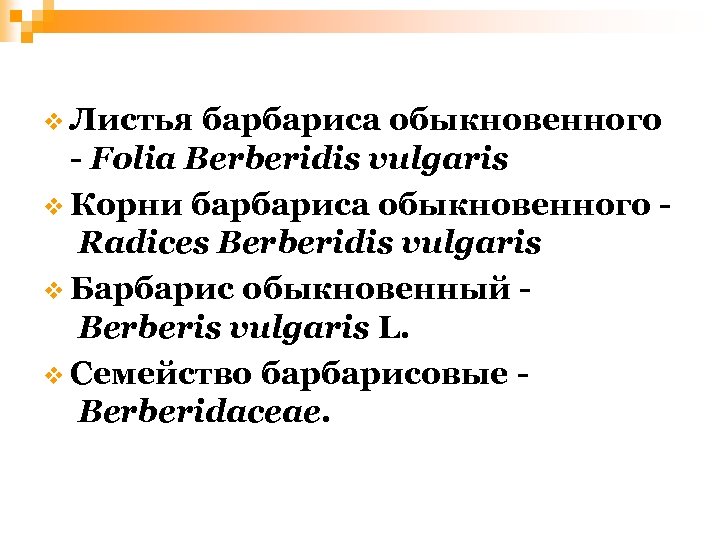 v Листья барбариса обыкновенного - Folia Berberidis vulgaris v Корни барбариса обыкновенного Radices Berberidis