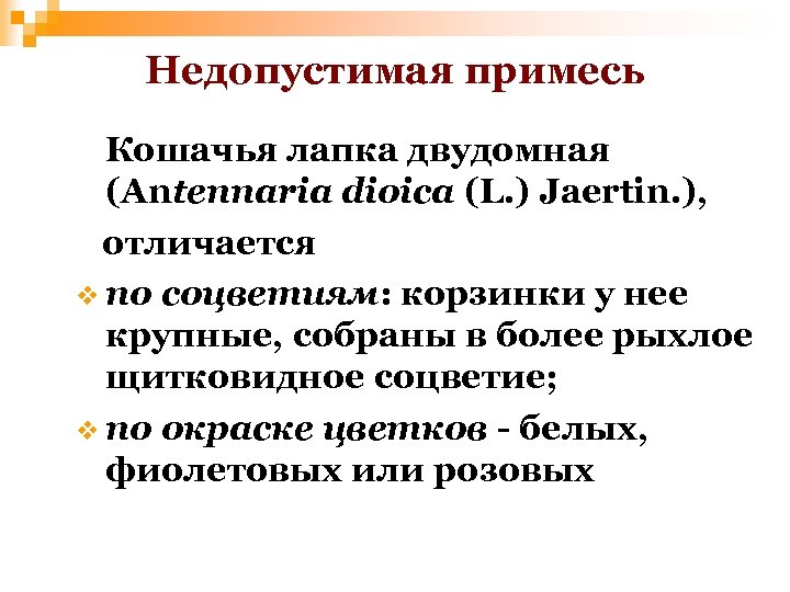 Недопустимая примесь Кошачья лапка двудомная (Antennaria dioica (L. ) Jaertin. ), отличается v по