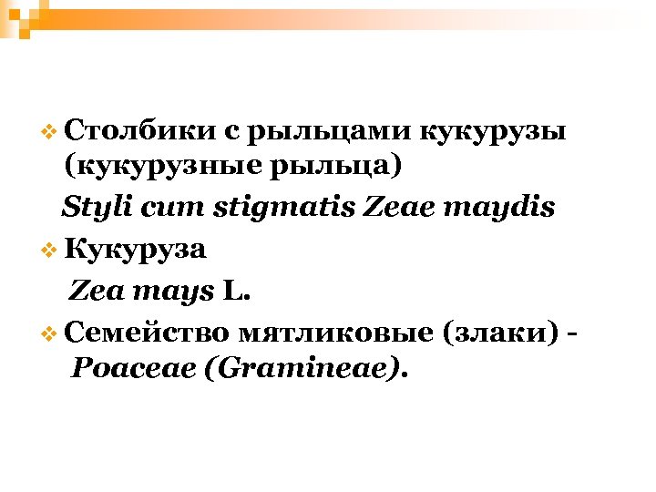 v Столбики с рыльцами кукурузы (кукурузные рыльца) Styli cum stigmatis Zeae maydis v Кукуруза