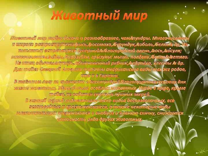 Животный мир тайги богаче и разнообразнее, чем тундры. Многочисленны и широко распространены рысь, росомаха,