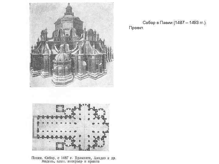 Собор в Павии (1487 – 1493 гг. ). Проект. 