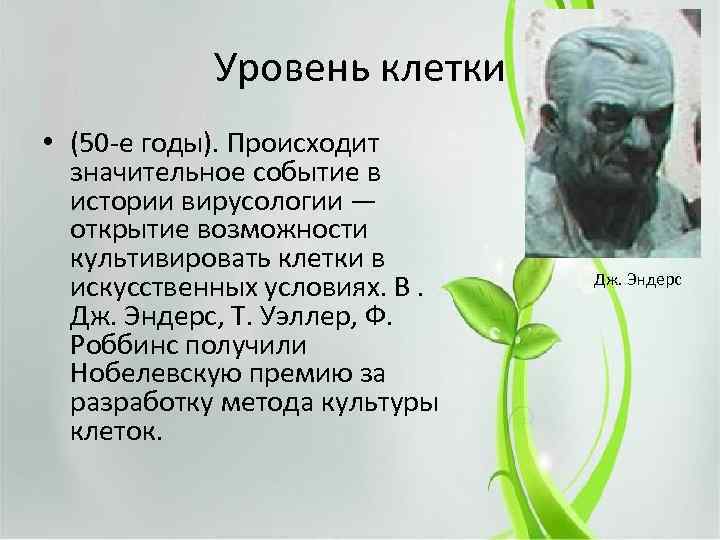 Уровень клетки • (50 -е годы). Происходит значительное событие в истории вирусологии — открытие