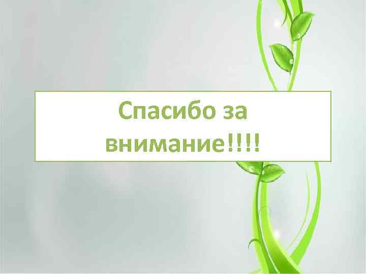 Спасибо за внимание!!!! 