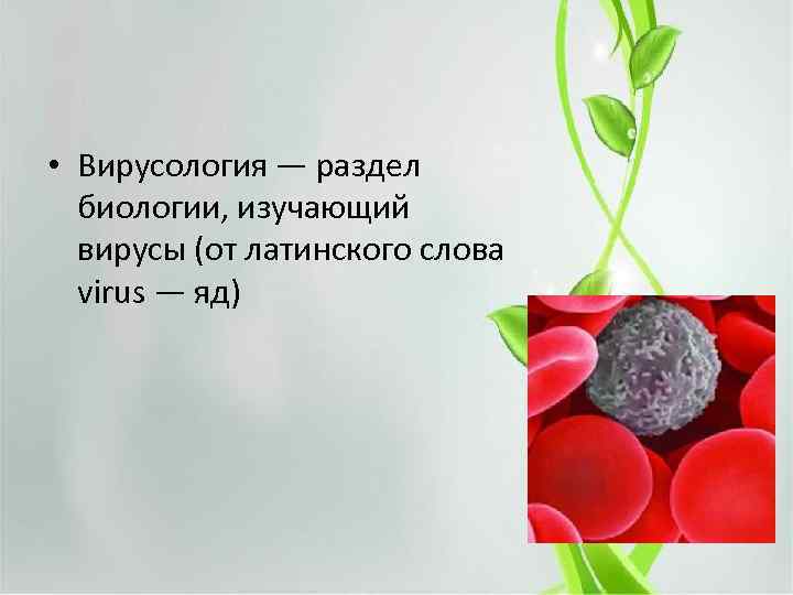  • Вирусология — раздел биологии, изучающий вирусы (от латинского слова virus — яд)