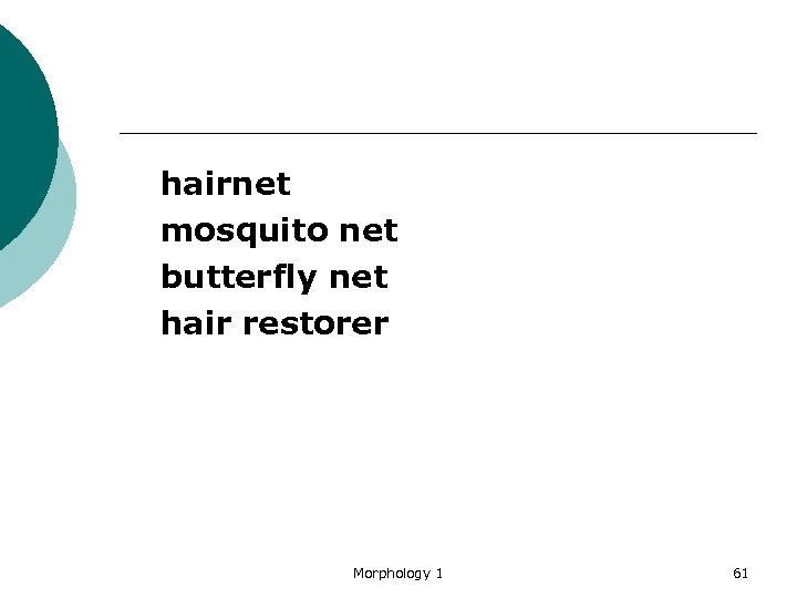  hairnet mosquito net butterfly net hair restorer Morphology 1 61 