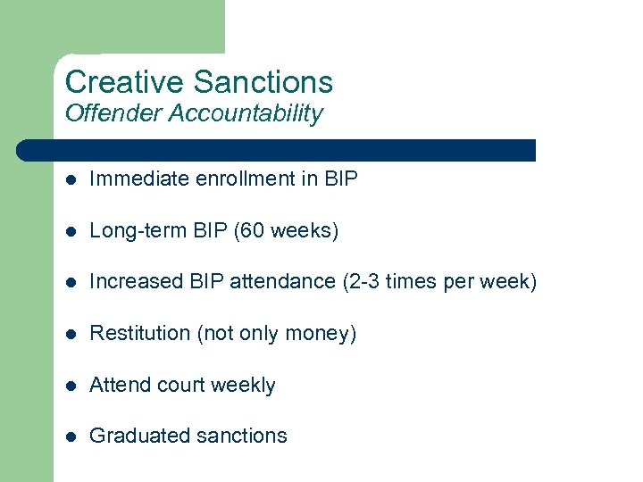 Creative Sanctions Offender Accountability l Immediate enrollment in BIP l Long-term BIP (60 weeks)