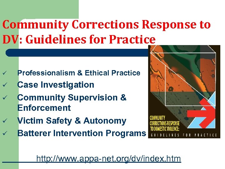 Community Corrections Response to DV: Guidelines for Practice ü Professionalism & Ethical Practice ü