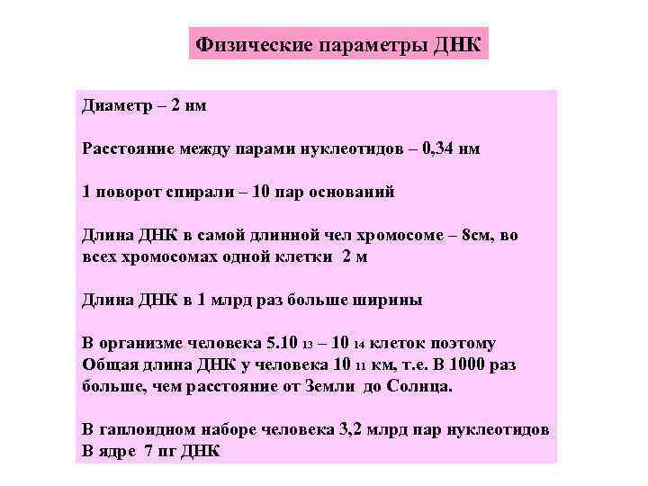 Физические параметры ДНК Диаметр – 2 нм Расстояние между парами нуклеотидов – 0, 34
