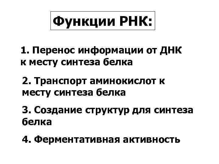 Функции РНК: 1. Перенос информации от ДНК к месту синтеза белка 2. Транспорт аминокислот