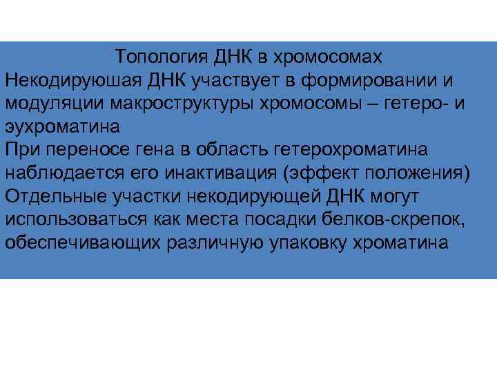 Топология ДНК в хромосомах Некодируюшая ДНК участвует в формировании и модуляции макроструктуры хромосомы –