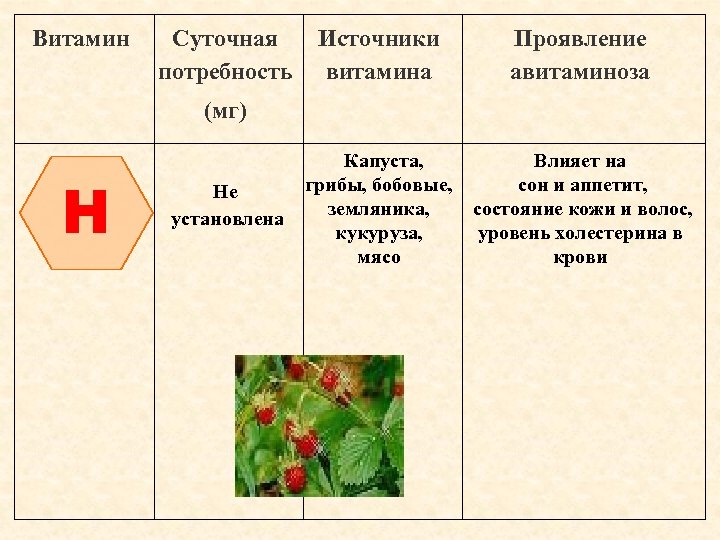 Витамин Суточная потребность Источники витамина Проявление авитаминоза (мг) H Не установлена Капуста, Влияет на