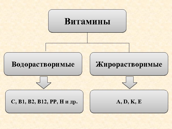 Витамины Водорастворимые Жирорастворимые С, В 1, В 2, В 12, РР, Н и др.