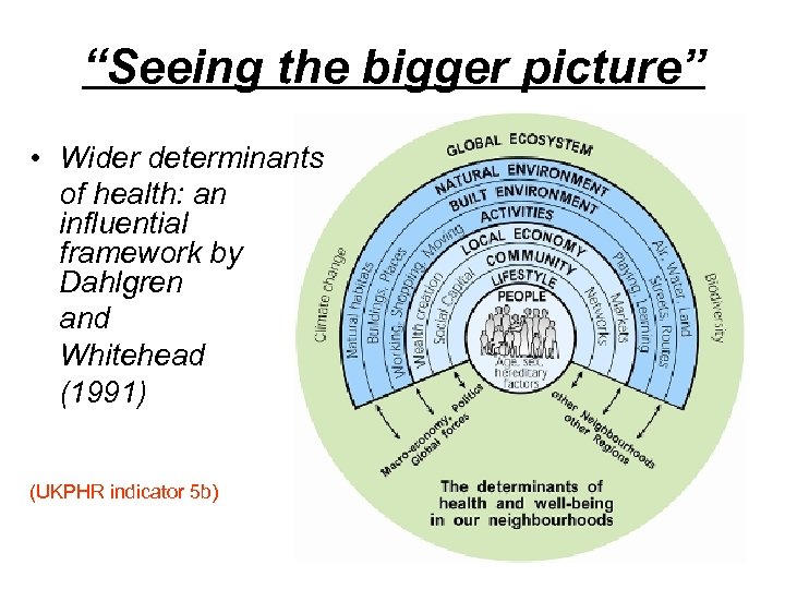 “Seeing the bigger picture” • Wider determinants of health: an influential framework by Dahlgren
