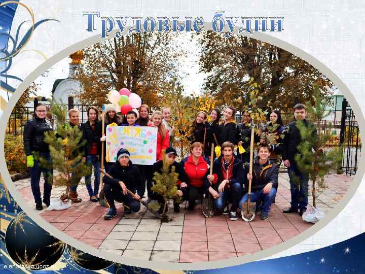 Трудовые будни 