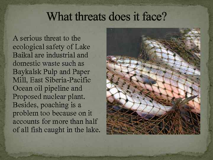 What threats does it face? A serious threat to the ecological safety of Lake
