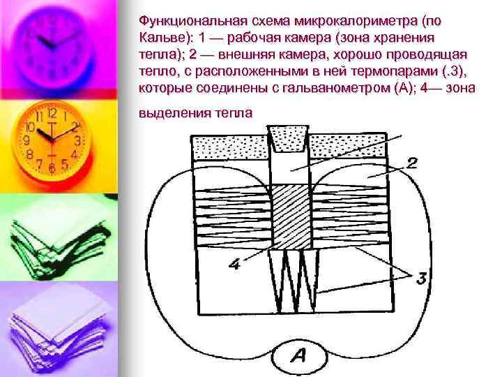 Функциональная схема микрокалориметра (по Кальве): 1 — рабочая камера (зона хранения тепла); 2 —