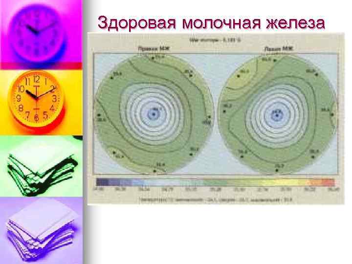 Здоровая молочная железа 