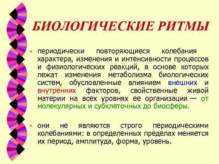 Колебание интенсивности биологических процессов