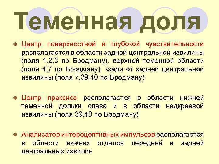 Теменная доля l Центр поверхностной и глубокой чувствительности располагается в области задней центральной извилины