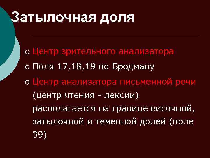Затылочная доля ¡ Центр зрительного анализатора ¡ Поля 17, 18, 19 по Бродману ¡