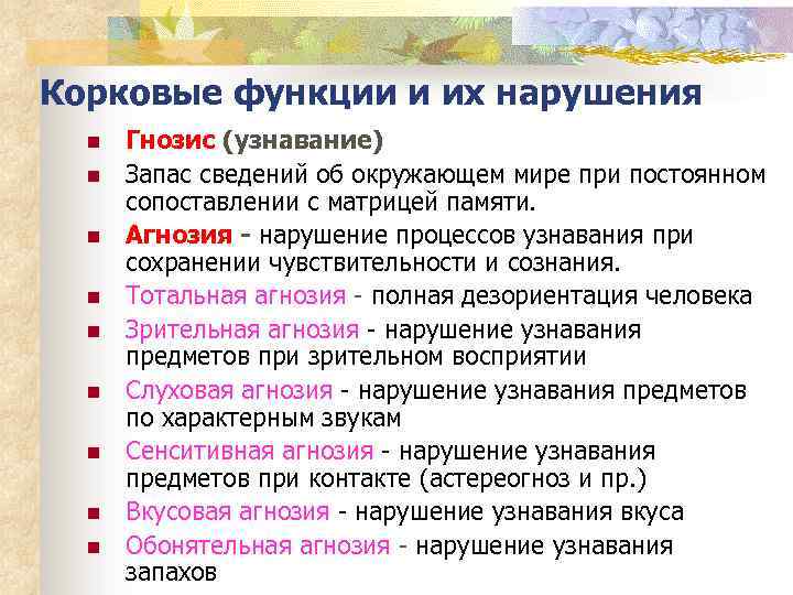 Корковые функции и их нарушения n n n n n Гнозис (узнавание) Запас сведений