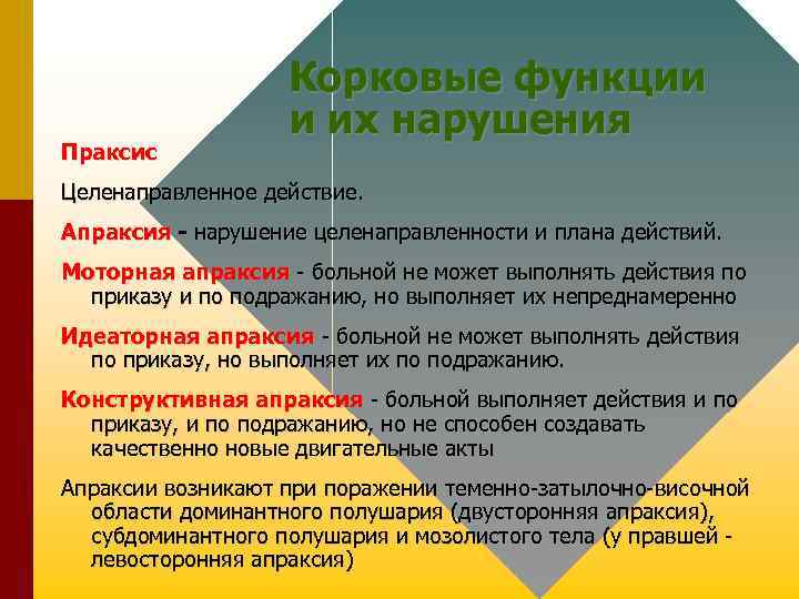 Праксис Корковые функции и их нарушения Целенаправленное действие. Апраксия - нарушение целенаправленности и плана
