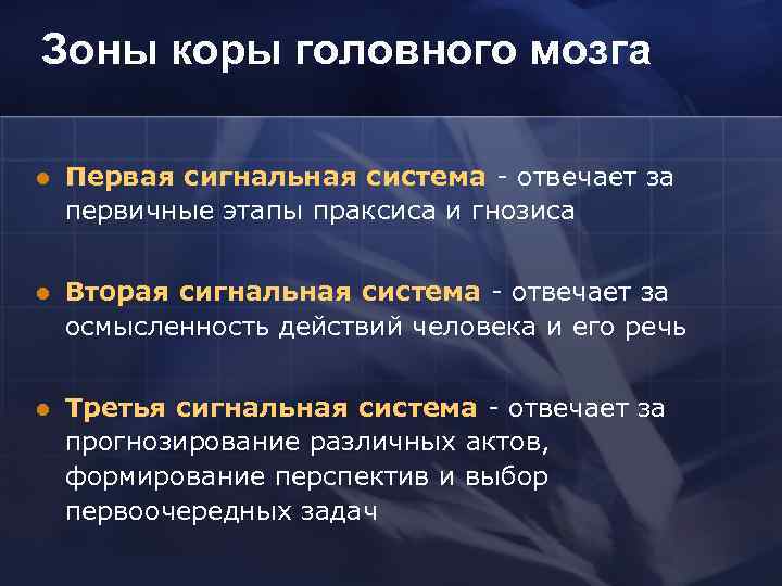 Зоны коры головного мозга l Первая сигнальная система отвечает за первичные этапы праксиса и