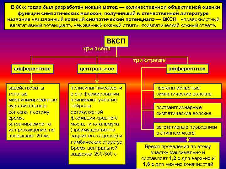 В 80 -х годах был разработан новый метод — количественной объективной оценки функции симпатических