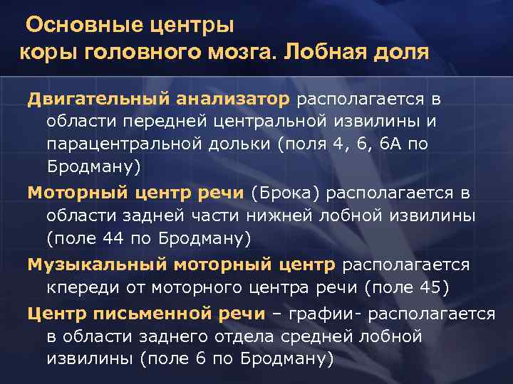 Основные центры коры головного мозга. Лобная доля Двигательный анализатор располагается в области передней центральной
