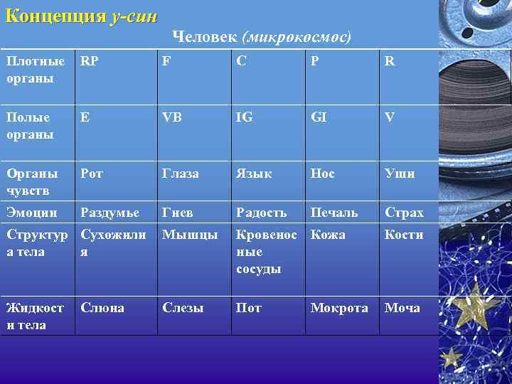 Концепция у-син Человек (микрокосмос) Плотные органы RP F С Р R Полые органы Е