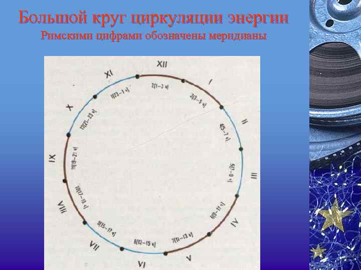 Большой круг циркуляции энергии Римскими цифрами обозначены меридианы 