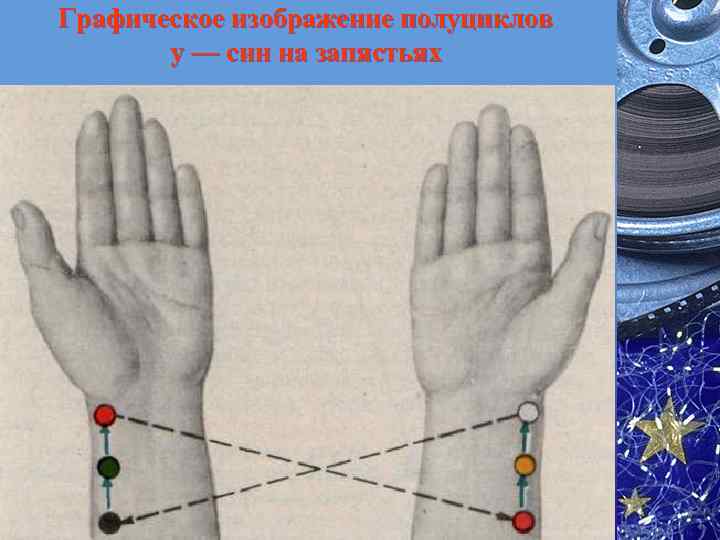 Графическое изображение полуциклов у — син на запястьях 