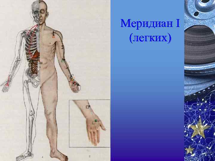 Меридиан I (легких) 