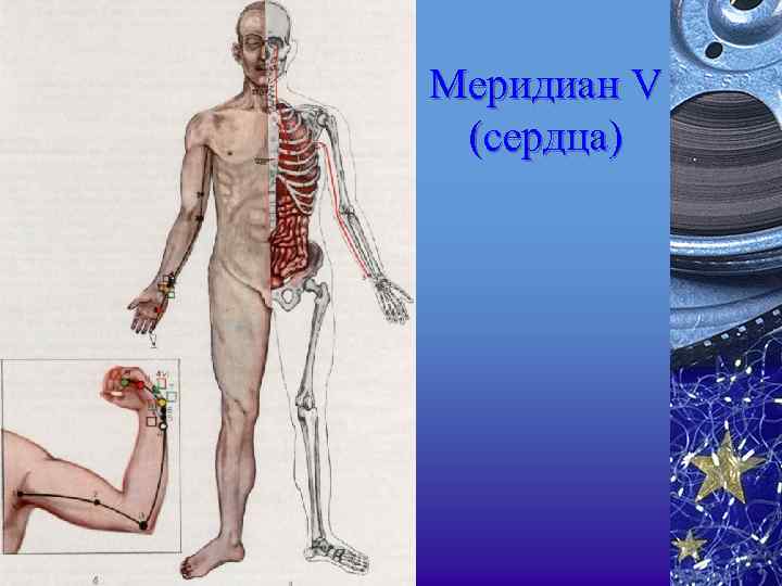 Меридиан V (сердца) 