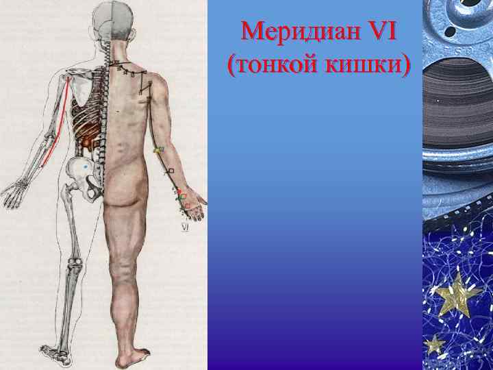 Меридиан VI (тонкой кишки) 