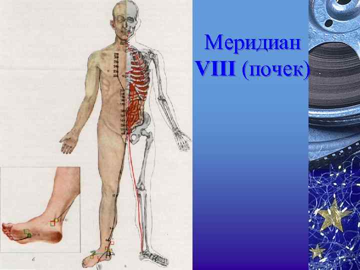 Меридиан VIII (почек) 