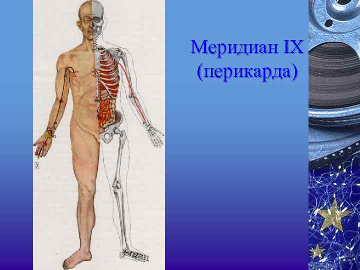Меридиан IX (перикарда) 