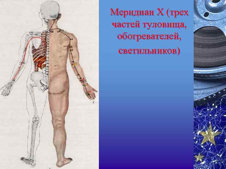 Меридиан X (трех частей туловища, обогревателей, светильников) 