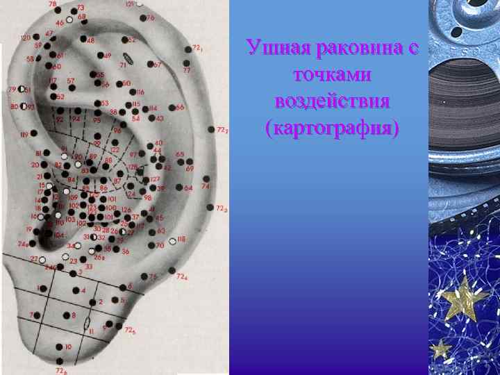 Ушная раковина с точками воздействия (картография) 