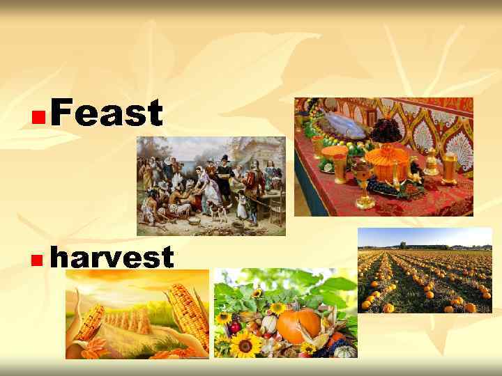 n Feast n harvest 